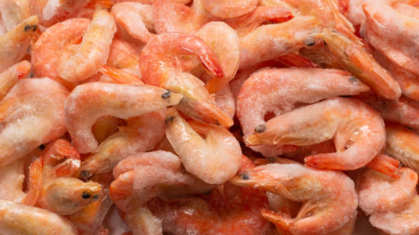 istock Fresh shrimps in ice. Top view. 1349221035