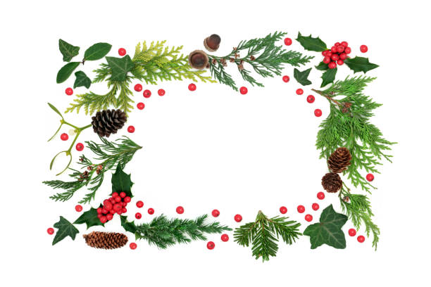 istock Winter Border Nature Composition with Holly and Flora 1349221071