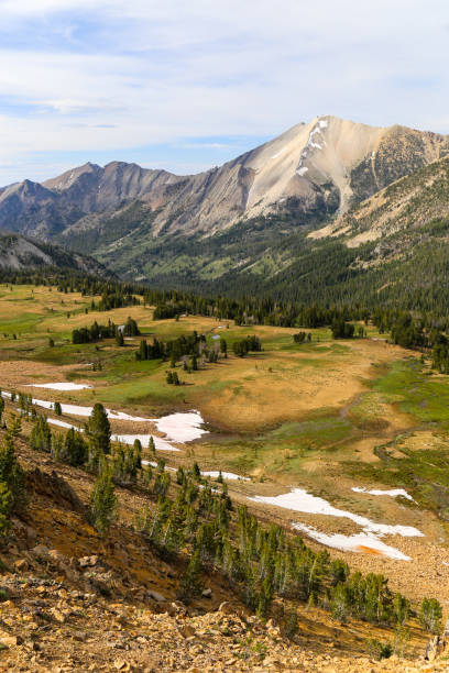 obszar white cloud wilderness w pobliżu sun valley, idaho usa - white cloud mountains zdjęcia i obrazy z banku zdjęć