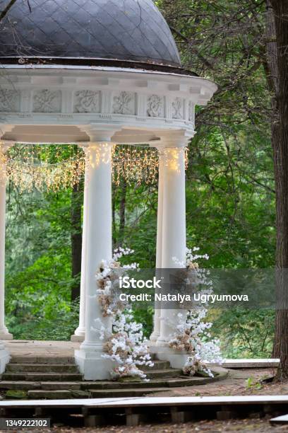 The White Rotunda In The Park Stock Photo - Download Image Now - Gazebo, Rotunda, Architectural Column