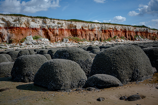 Bolders, or stones arranged in straight lines covered in mussels and barnacles at Hunstanton Beach, Norfolk