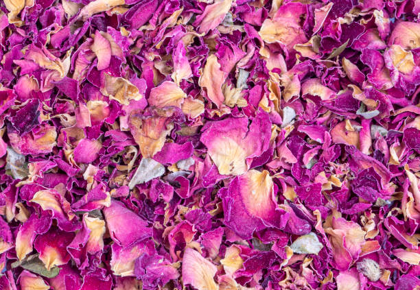 istock Dry rose flower petals tea 1349226150