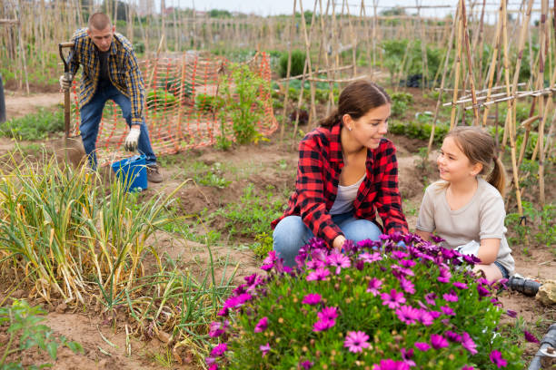 istock Friendly family working together on backyard garden 1349226682