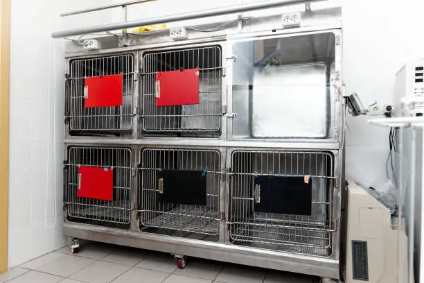 Photo of Iron cages for animals in the veterinary clinic