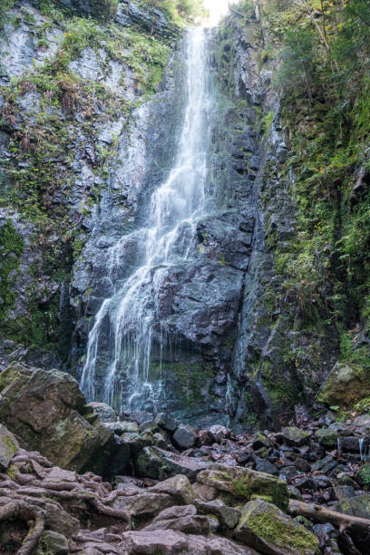 istock Burgbach waterfall in the Black Forest, Germany 1349228398