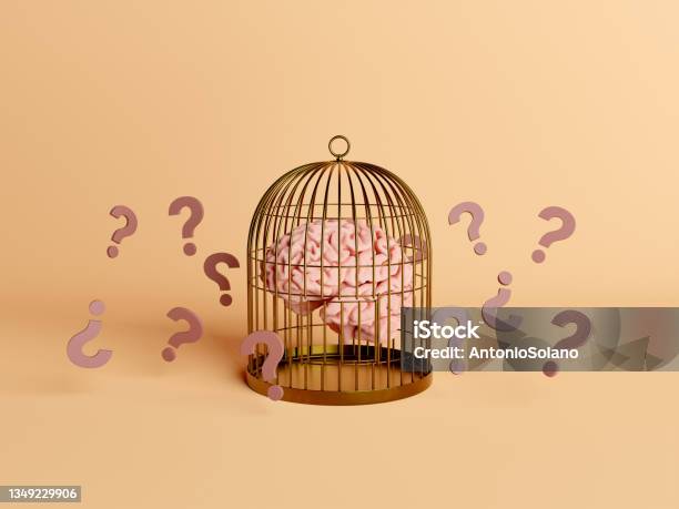 Brain Trapped Inside A Cage With Question Marks Stock Photo - Download Image Now - Trapped, Birdcage, Cage
