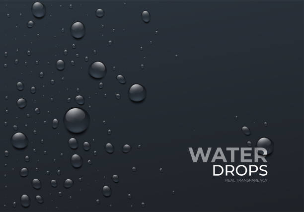 realistic water drops on black background, real transparent effect. vector illustration - 珠子 幅插畫檔、美工圖案、卡通及圖標