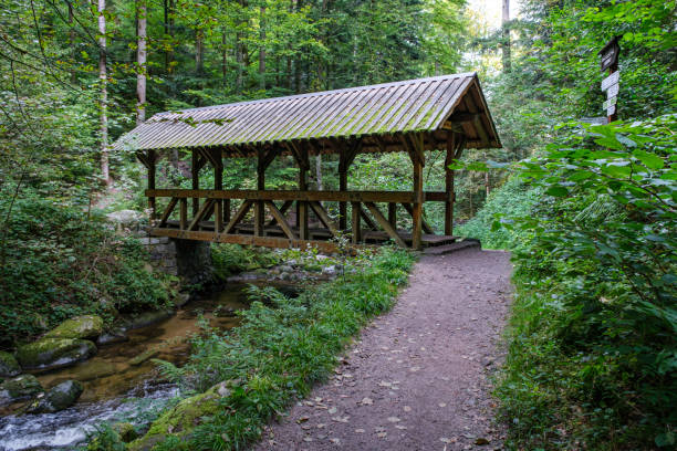 istock The Geroldsau Waterfall in the Black Forest, Germany 1349231033
