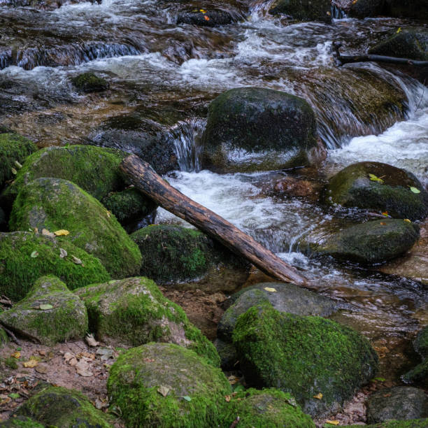 istock The Geroldsau Waterfall in the Black Forest, Germany 1349231429