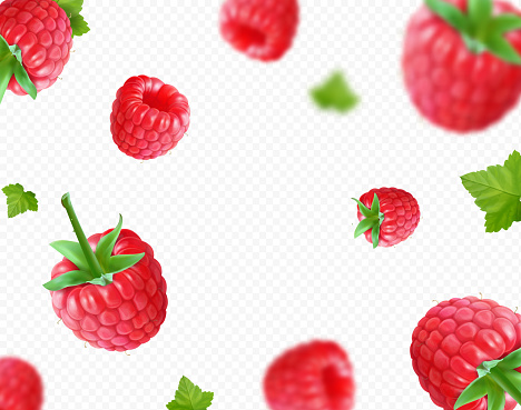 Raspberry background. Fresh falling realistic raspberry with green leaf on transparent background. Motion blur berries