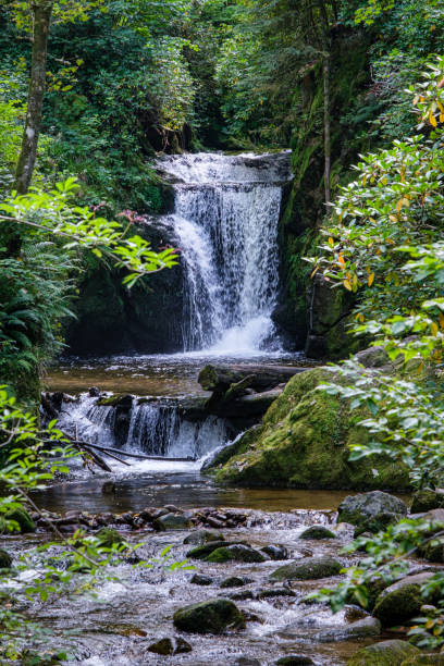 istock The Geroldsau Waterfall in the Black Forest, Germany 1349232343