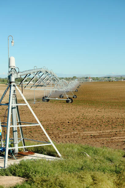 istock An agricultural sprinkler system in a farm field 1349232610