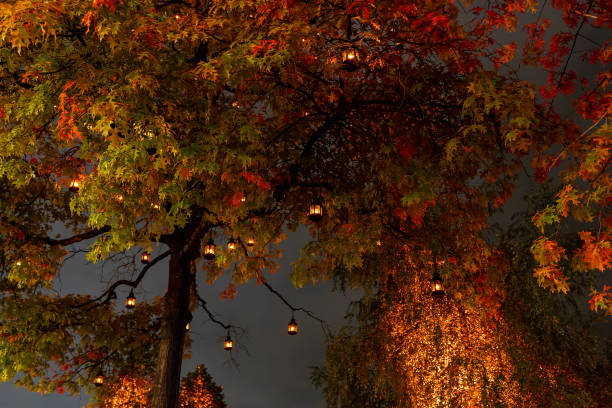 istock Many lanterns attached to autumnal trees 1349233641