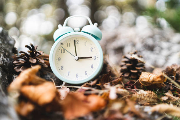 istock Vintage white alarm clock amongst needles and pine cones, Fall Back Time Change 1349234098