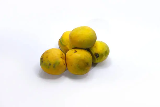 Photo of a group of fresh, ripe, and small mango is ready to eat isolated on white background