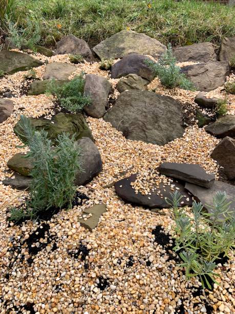 istock New Rock Garden in the Making 1349239300