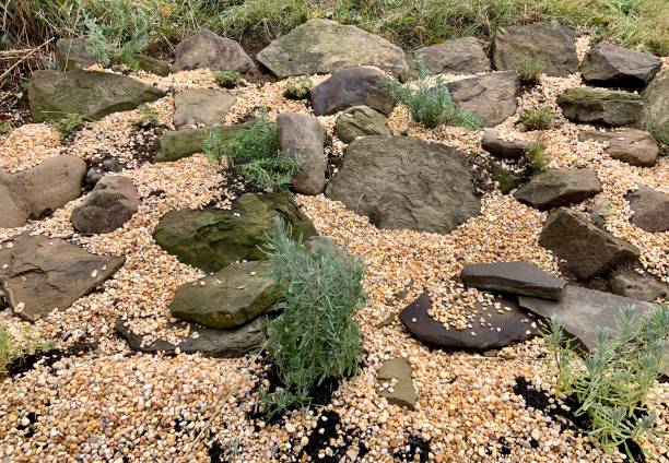 istock New Rock Garden in the Making 1349239322