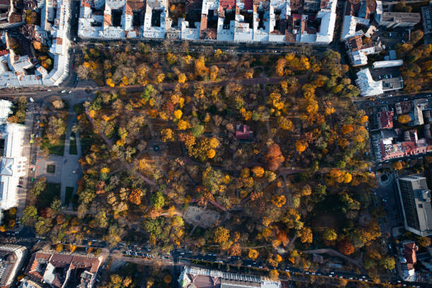 istock Aerial view on park in autumn from drone 1349242414