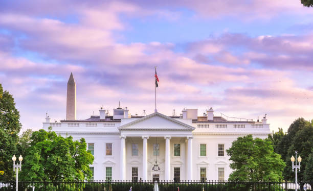 The White House in Washington, D.C. stock photo