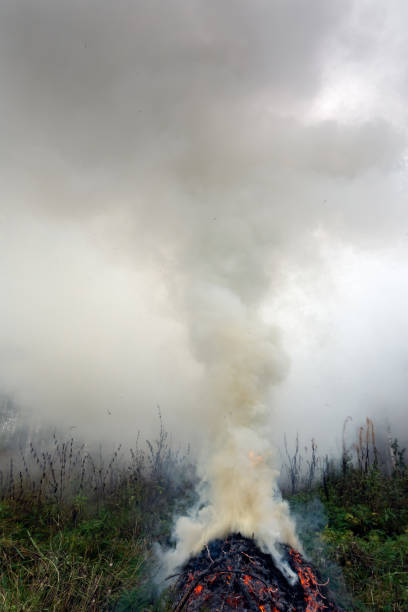 istock Burning spruce branches, thick smoke rising into the sky. 1349249637