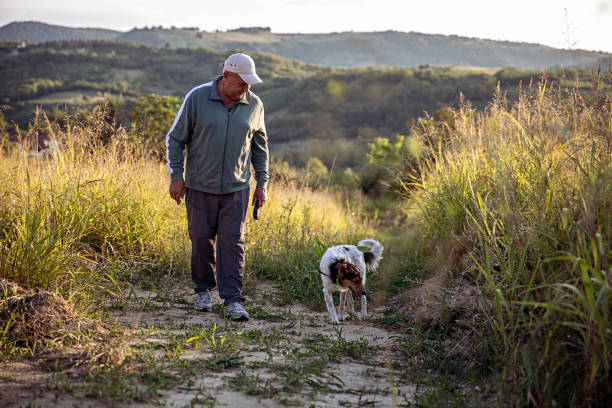 Man Enjoying Walking His Dog Senior man walking his dog in wilderness mature adult walking dog stock pictures, royalty-free photos & images