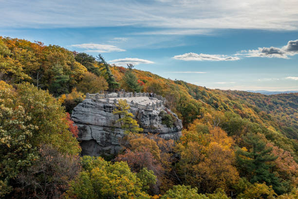 istock Coopers Rock state park overlook over the Cheat River in West Virginia with fall colors 1349253229
