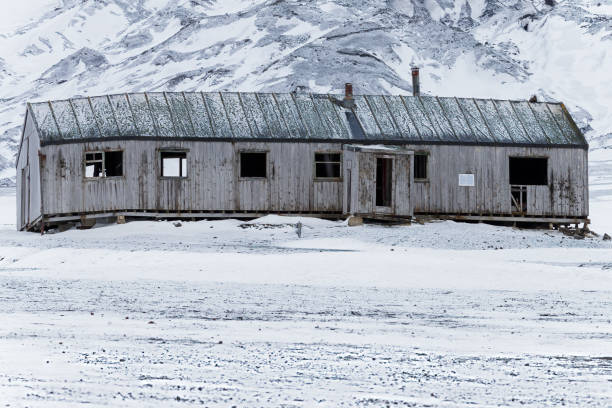 antarctic - nature antarctica half moon island penguin imagens e fotografias de stock