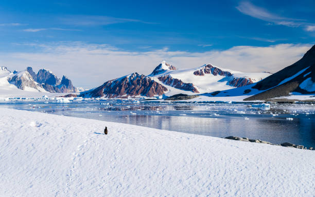 antártico - circle natural phenomenon water snow - fotografias e filmes do acervo