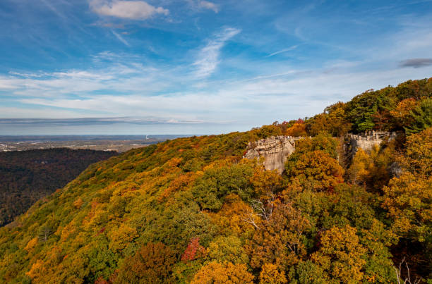 istock Coopers Rock state park overlook over the Cheat River in West Virginia with fall colors 1349254151
