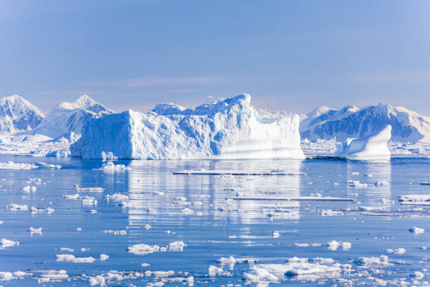 antartica - ice pack foto e immagini stock