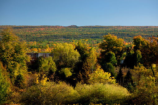 Autumn foliage in Upstate New York.