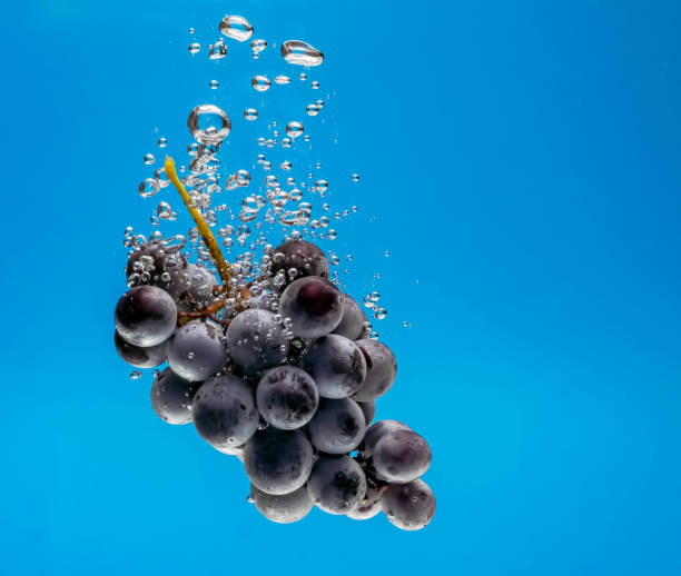 istock a bunch of grapes with water bubbles on a blue background 1349258505