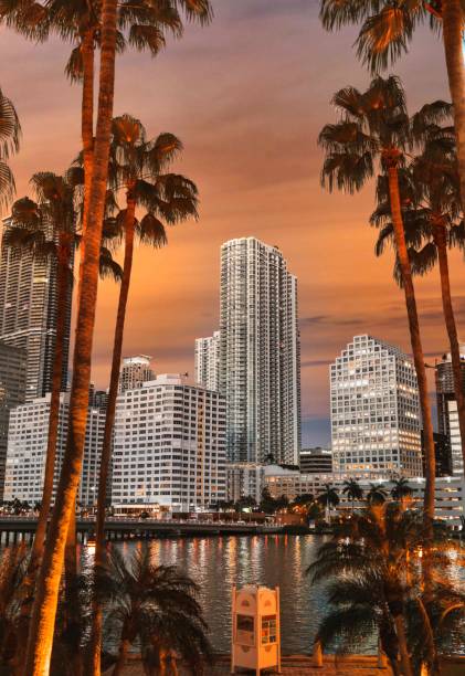 miami brickell skyline edificios al atardecer - miami fotografías e imágenes de stock