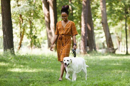 Full length portrait of young African-American woman walking dog in park outdoors in Summer, copy space