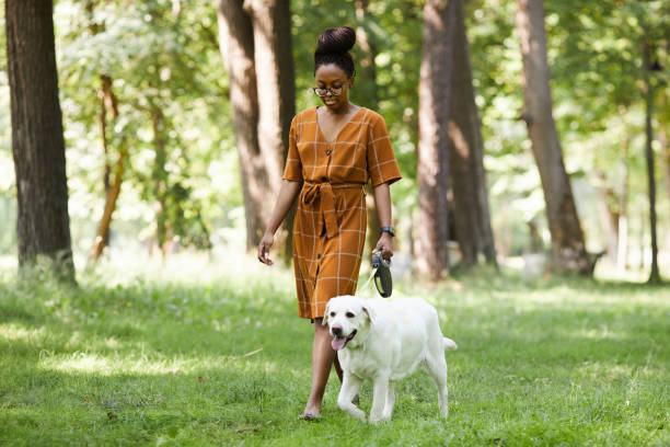 African American Young Woman Walking with Dog Full length portrait of young African-American woman walking dog in park outdoors in Summer, copy space dog walking stock pictures, royalty-free photos & images