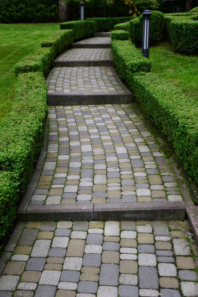 istock The stone-paved sidewalk meanders out into perspective between the hedge walls. 1349264745