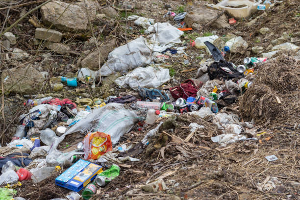 istock Garbage dumped on the field that pollutes the soil and air 1349267733