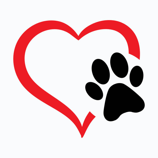 ilustrações, clipart, desenhos animados e ícones de marca de pata símbolo de amor animal com coração, vetor isolado - footprint track paw print