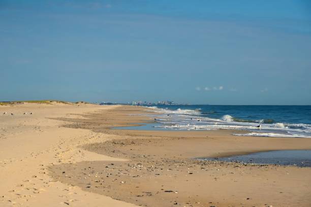 istock Ocean City Skyline from Assateague Island 1349268319