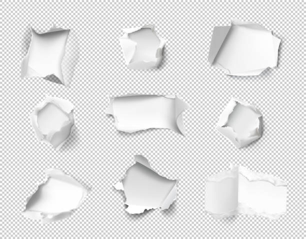 透明な背景に分離された紙の現実的な穴。 - cut or torn paper illustrations点のイラスト素材／クリップアート素材／マンガ素材／アイコン素材