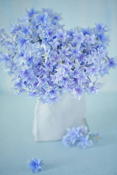 istock Beautiful bouquet of purple hydrangea 1349273128