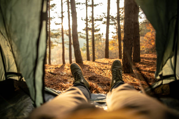 istock Man relaxing in tent while camping in forest alone on beautiful autumn day 1349281806
