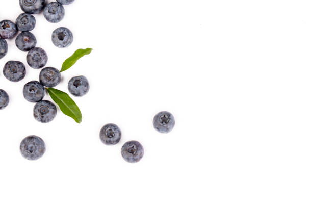 istock Fresh blueberries with bluberry leaves isolated on white background. 1349283642