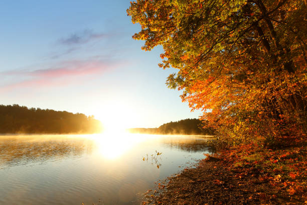 istock Beautiful New England Fall Foliage with reflections at sunrise, Boston Massachusetts. 1349288439