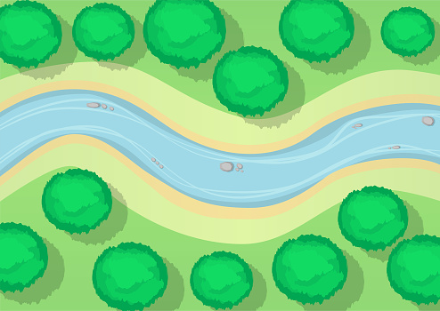 river top view with trees