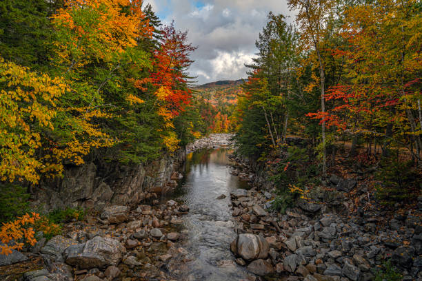 istock Autumn on the swift river, the gorge 1349288679
