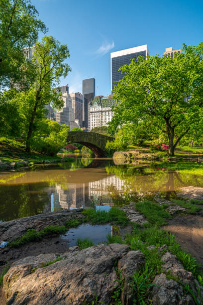 istock Gapstow Bridge in Central Park 1349288683