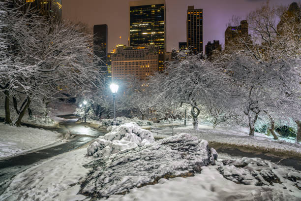 istock Gapstow Bridge in Central Park 1349288727