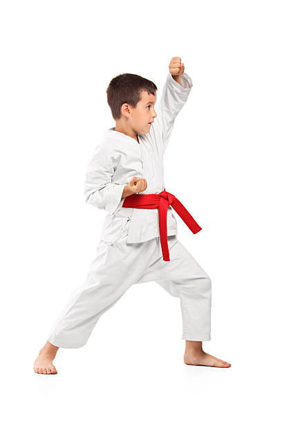 フルレングスのポートレート、空手キッドポーズする - karate judo belt aikido ストックフォトと画像