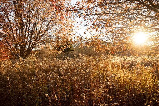 Autumn sunrise landscape in upstate New York.